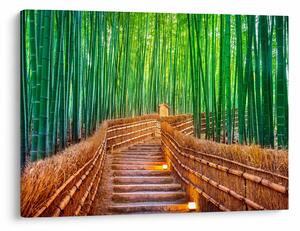 Kép - Japán bambusz erdő (70x50 cm)