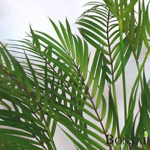 Mű Areca pálma 120 cm – Élethű beltéri dekoráció