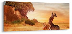 Kép - Zsiráfok Afrikában (120x50 cm)
