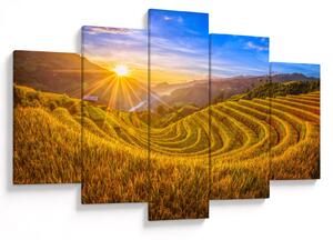 Kép - Rizs teraszok Vietnamban (150x105 cm)