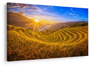 Kép - Rizs teraszok Vietnamban (90x60 cm)