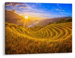 Kép - Rizs teraszok Vietnamban (70x50 cm)