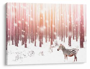 Kép - Zebra egy havas erdőben (70x50 cm)