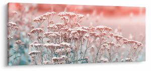Kép - Réti virágok (120x50 cm)