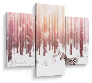 Kép - Zebra egy havas erdőben (90x60 cm)
