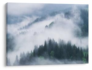 Kép - Fák a ködben (70x50 cm)