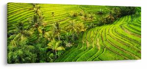 Kép - Rizs teraszok (120x50 cm)