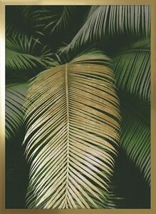 ARS LONGA Obraz dżungla I 149-51 Külső méret 53x73