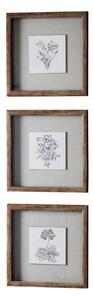Endon Monochrome Botanical Framed Art Trio 330x330mm - ED-5055999229081
