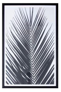 Endon Monochrome Palm Framed Art 610x38x910mm - ED-5059413411779