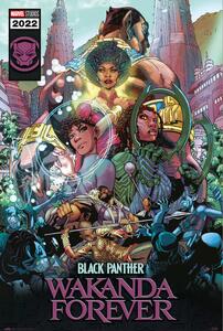 Plakát Black Panther: Wakanda Forever, (61 x 91.5 cm)