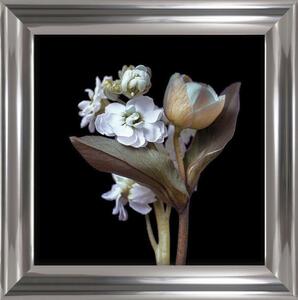 ARS LONGA Obraz kwiaty w bukiecie I 63,5x63,5 - ARS-15-33-701-4214