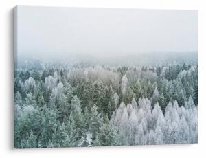Kép - Havas erdőcsúcsok (70x50 cm)