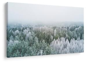Kép - Havas erdőcsúcsok (90x60 cm)