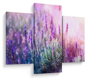 Kép - Levendula a csillogó napban (90x60 cm)