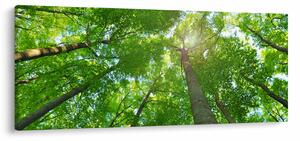 Kép - Erdő (120x50 cm)