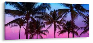Kép - Pálmafák Miamiban (120x50 cm)