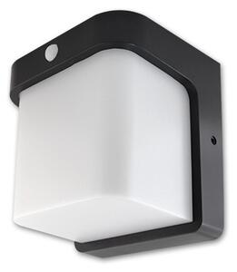 LED Corgi 12 W-os, 170x170x146cm-es natúr fehér, fekete oldalfali lámpa mozgásérzékelős