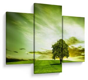 Kép - Az élet fája (90x60 cm)