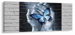 Kép - Pillangó a falon (120x50 cm)