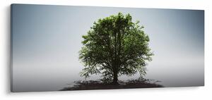 Kép - Magányos fa (120x50 cm)