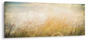 Kép - Mező ősszel (120x50 cm)