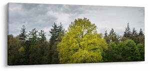Egy zöld fa képe a mező közepén (120x50 cm)