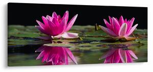 A tavirózsa képe a vízen (120x50 cm)