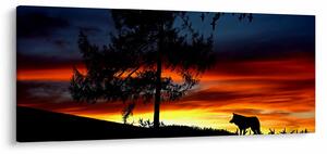Kép - Farkas sziluettje (120x50 cm)