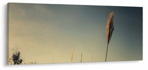 A fű képe (120x50 cm)