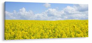 Egy sárga mező képe (120x50 cm)