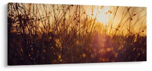 A mező képe naplementekor (120x50 cm)