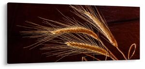 Kép - Rozsfül részlete (120x50 cm)