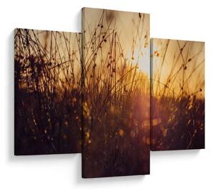 A mező képe naplementekor (90x60 cm)