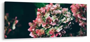 Kép - Hortenzia részlete (120x50 cm)