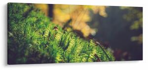 A moha képe gombával (120x50 cm)