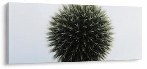 Egy viráglabda képe (120x50 cm)