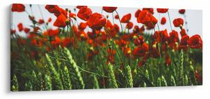 A pipacsok képe a szélben (120x50 cm)