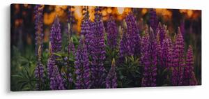 Egy csillagfürt virág képe (120x50 cm)