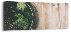 A pozsgás növények képe üvegben (120x50 cm)