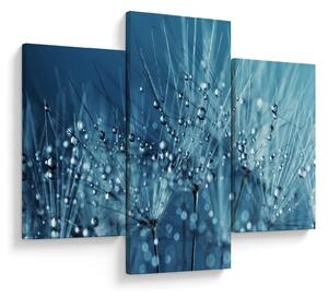 Kép - Harmatcseppek (90x60 cm)