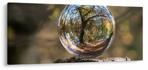 Kép - Tükröződés az üveggömbben (120x50 cm)