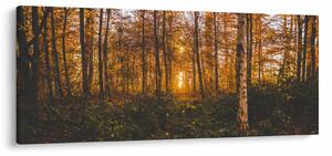 Egy őszi erdő képe (120x50 cm)