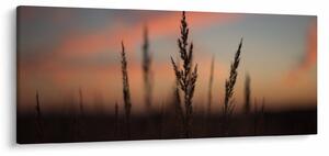 Kép - A növény sziluettje (120x50 cm)