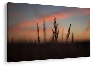 Kép - A növény sziluettje (90x60 cm)