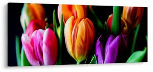 Tulipánok képe fekete alapon (120x50 cm)