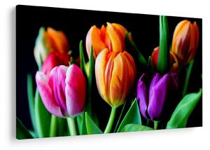 Tulipánok képe fekete alapon (90x60 cm)
