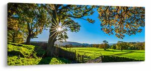 Kép - mező, kilátás (120x50 cm)