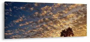 Kép - Pálmafák a felhők között (120x50 cm)