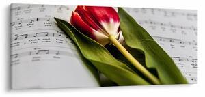 Egy vörös tulipán képe (120x50 cm)